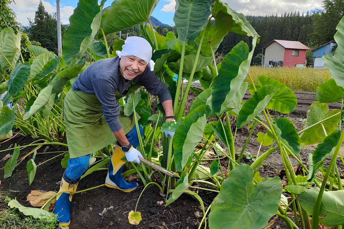 尾花沢ほその村で実りの秋、収穫体験をたのしもう！