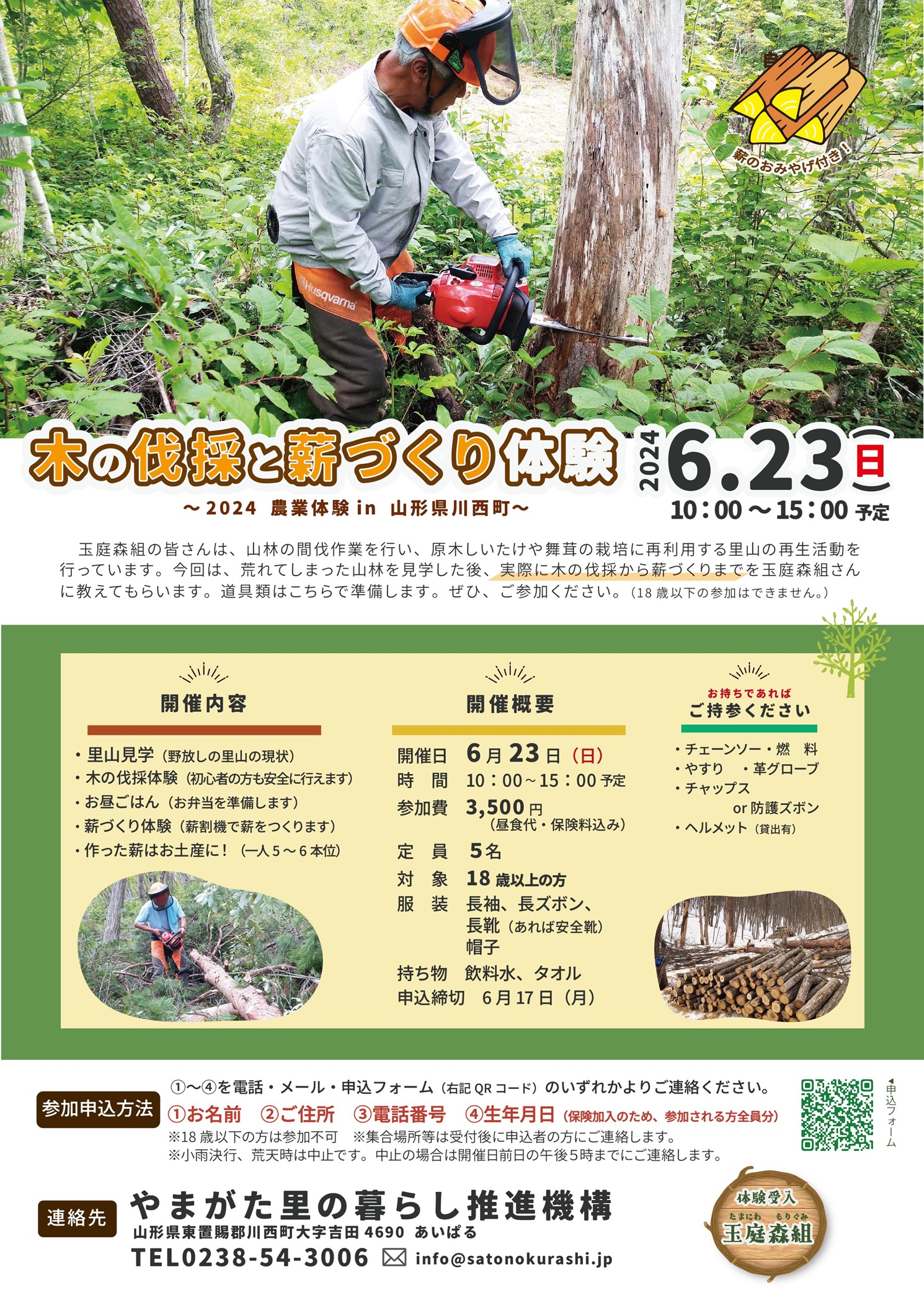 里山 木の伐採と薪づくり (002).jpg