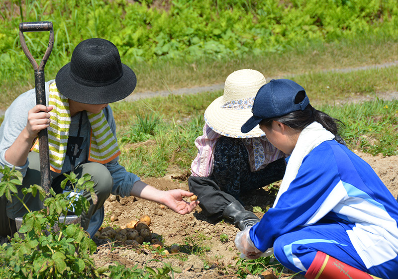 大学生の受け入れ